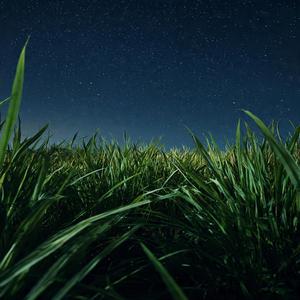 Numa Galáxia Muito Distante