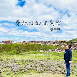 你的心不属于我