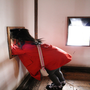 あこがれのおねえちゃん