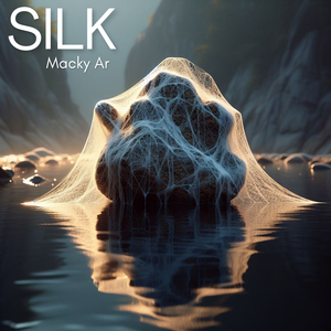 Silk