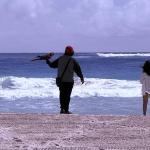 Punta, Cana Italian V