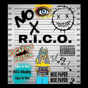 Ryu on the Mic (Rom)