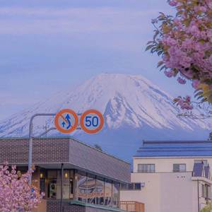 那些你很冒险的梦