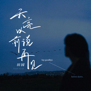 天亮以前说再见