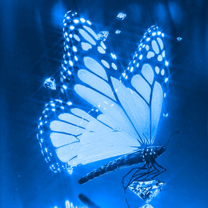 I’m the Darkness (Where I Belong)