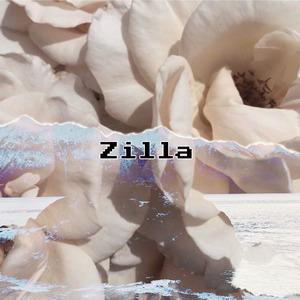 Zilla