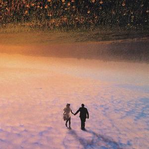 Only Lover (翻自 散养溜达猴)