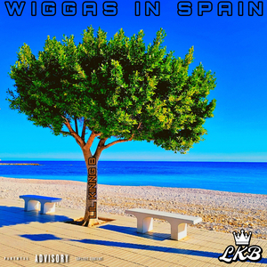 Wigga's In Spain