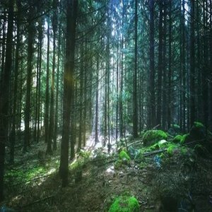 The Colder Synth Leads