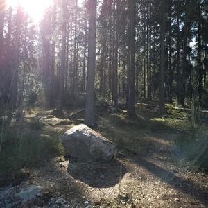 Askeleet (Slowed + Reverb version)