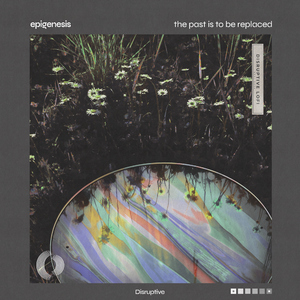 Towards The Right Path