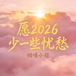 愿2026少一些忧愁