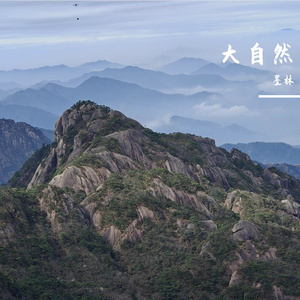 与清风共同飞翔(by JT.RORER)