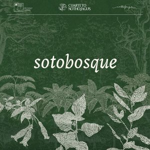 Bóveda De Hojarasca