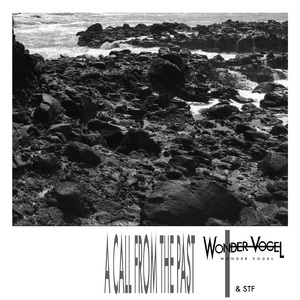 A Call from the Past