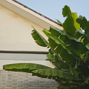 路灯，雪花，轮廓