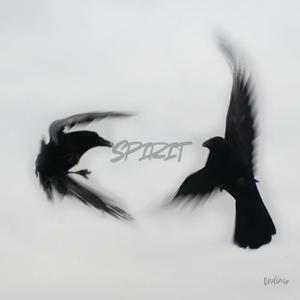 Spirit