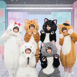 猫吸いパラダイス