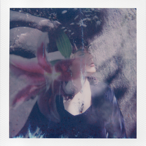 Negación y Omisión