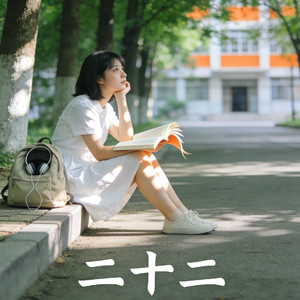 二十二（梦里啥都有DY remix）