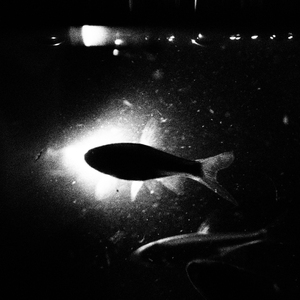 Clouds in my head(180920)