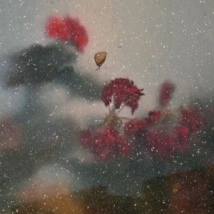 潮汐与你