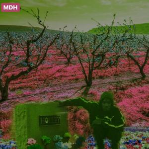 MDH