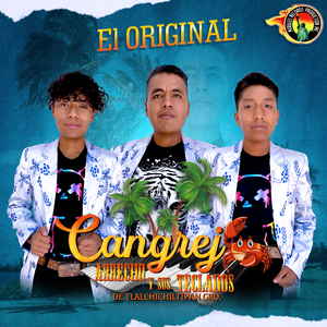 Popurri Alinita Solterito