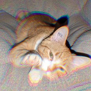 Need to Make a Change (feat. Evan Strand)