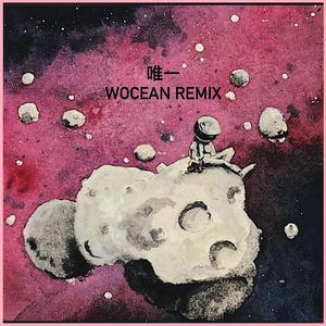 KnowKnow-唯一（Wocean remix）