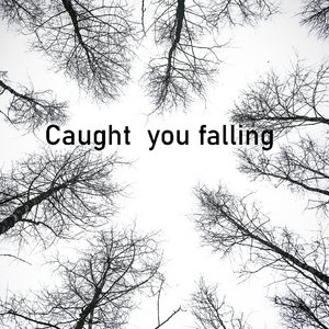 Caught you falling