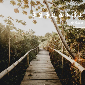 希望永远在山顶上