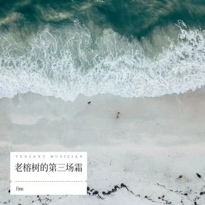 老榕树的第三场霜