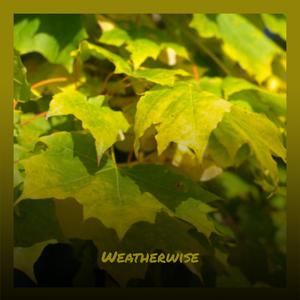 Weatherwise