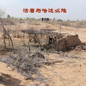 活着为啥这么难