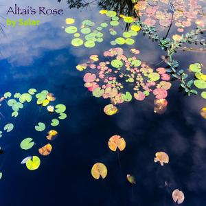 Altai's Rose