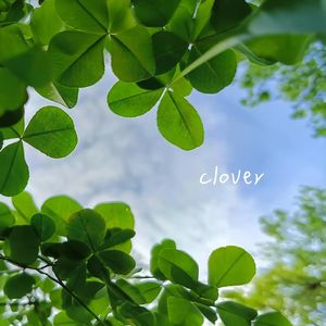 clover