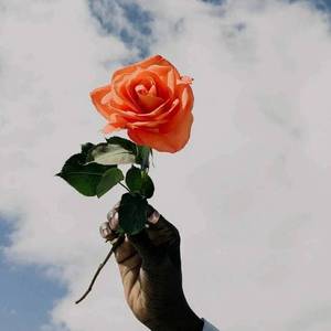 Nim Kun Bu Maga(吉他)