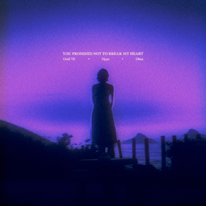 you promised not to break my heart