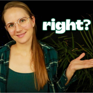 Ear-to-Ear Sound Flow