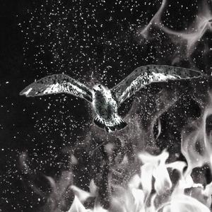 ASHES & FLAMES (feat. TOKYO DANIELS!)