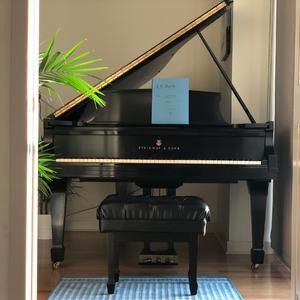 悲愴奏鳴曲第一樂章