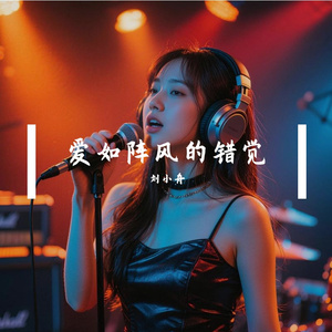 爱如阵风的错觉