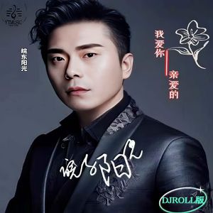 我爱你亲爱的（DJROLL版）