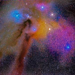 Pursuing the One (Extended)