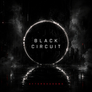 Lost in the Circuit