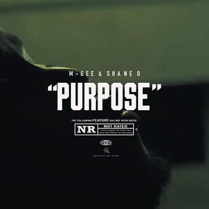 Purpose (feat. Shane O)
