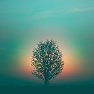 Return to Unity I Long Noise (303 Hz)