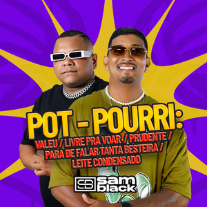 Valeu / Livre pra Voar / Prudente / Para de Falar Tanta Besteira / Leite Condensado (Cover)