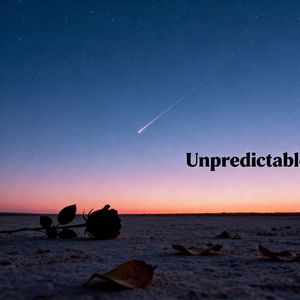 Unpredictable（无常）